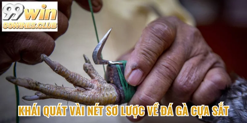 Khái quát sơ lược về đá gà cựa sắt